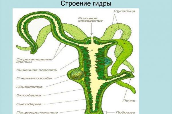 Кракен даркнет тор