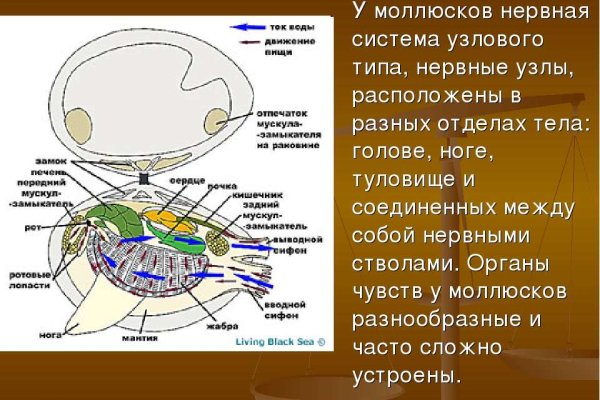 Почему сегодня не работает площадка кракен